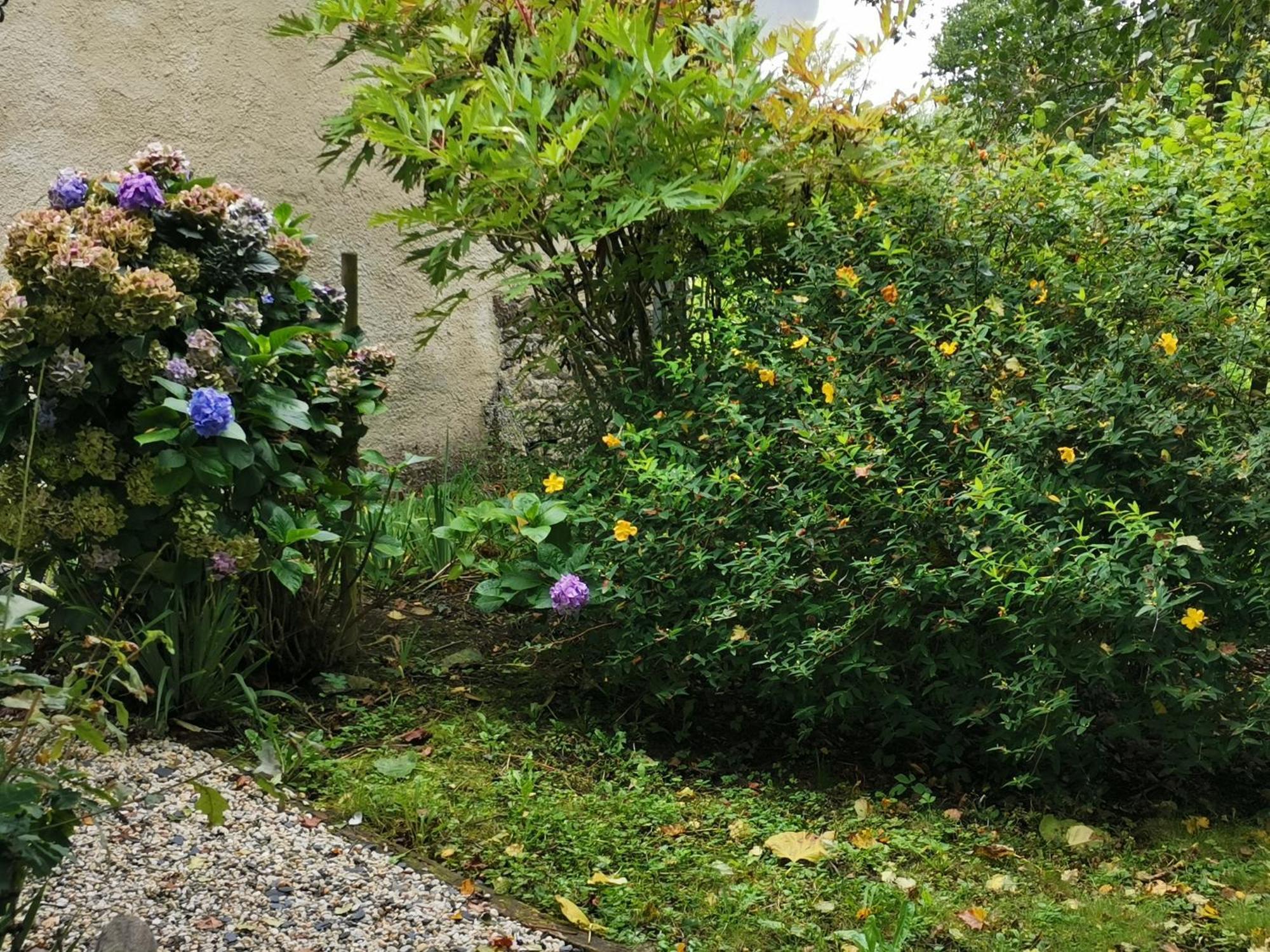 MoyonLes Brassins Du Dillon别墅 外观 照片